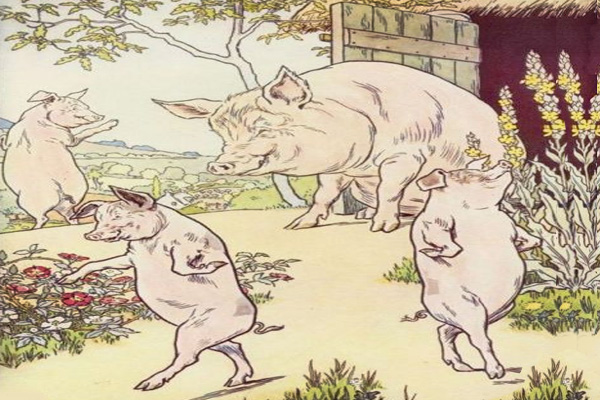 Three Little Pigs