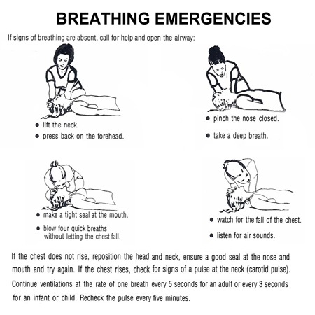 First Aid Chart - Part 1 - Breathing Emergencies, Poisoning, Fractures 